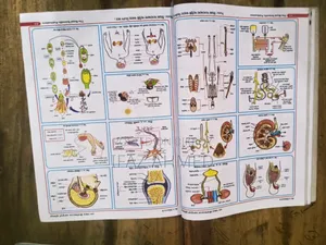 SSC Biology Guide