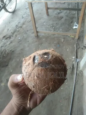 নারিকেল বিক্রি হবে