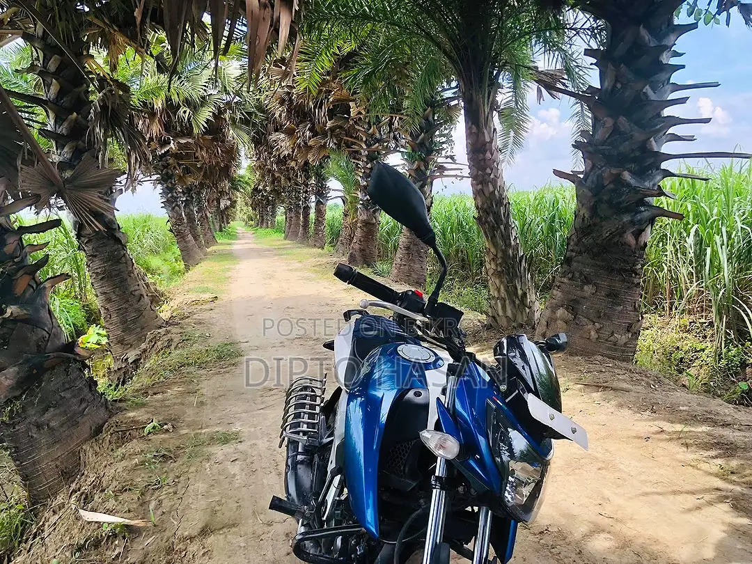 TVS Apache 160 4V 2019 Blue