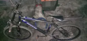 Gear Cycle