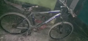 Gear Cycle