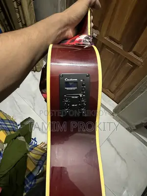 Semi-Acoustic Cutaway Guitar + Built-in Tuner/Eq + Skull Print Strap