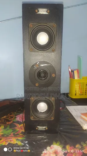 প্রফেশনাল আম্পলিফায়ার Bt -699d