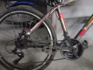 Geared cycle 100% running very strong both tubes new