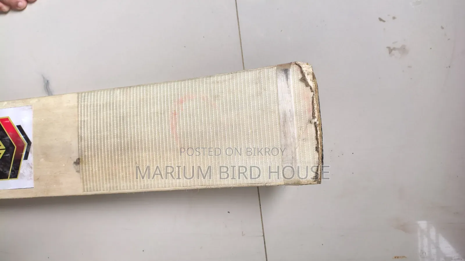 Cricket Bat