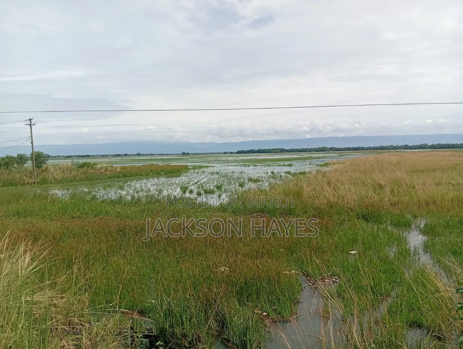 Plot suitable for establishing industry for sale.