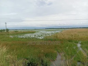 Plot suitable for establishing industry for sale.