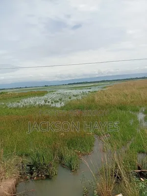 Plot suitable for establishing industry for sale.