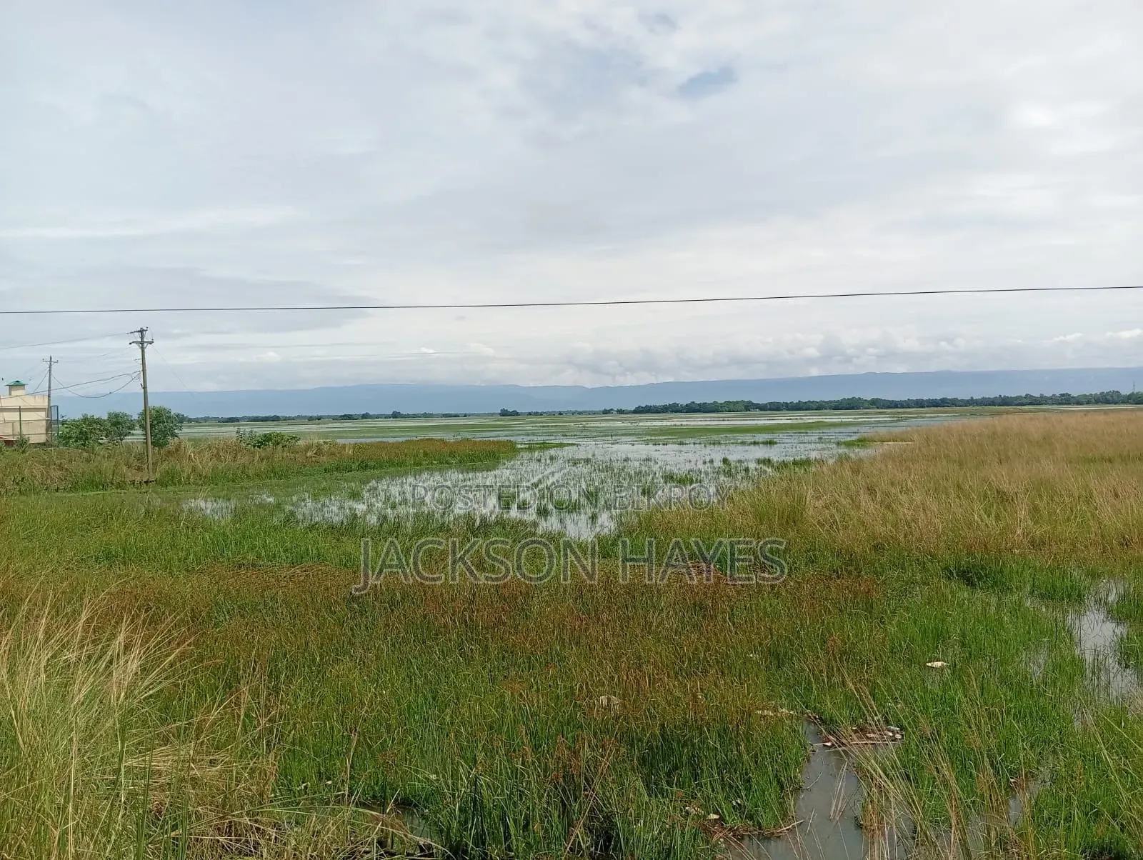 Plot suitable for establishing industry for sale.