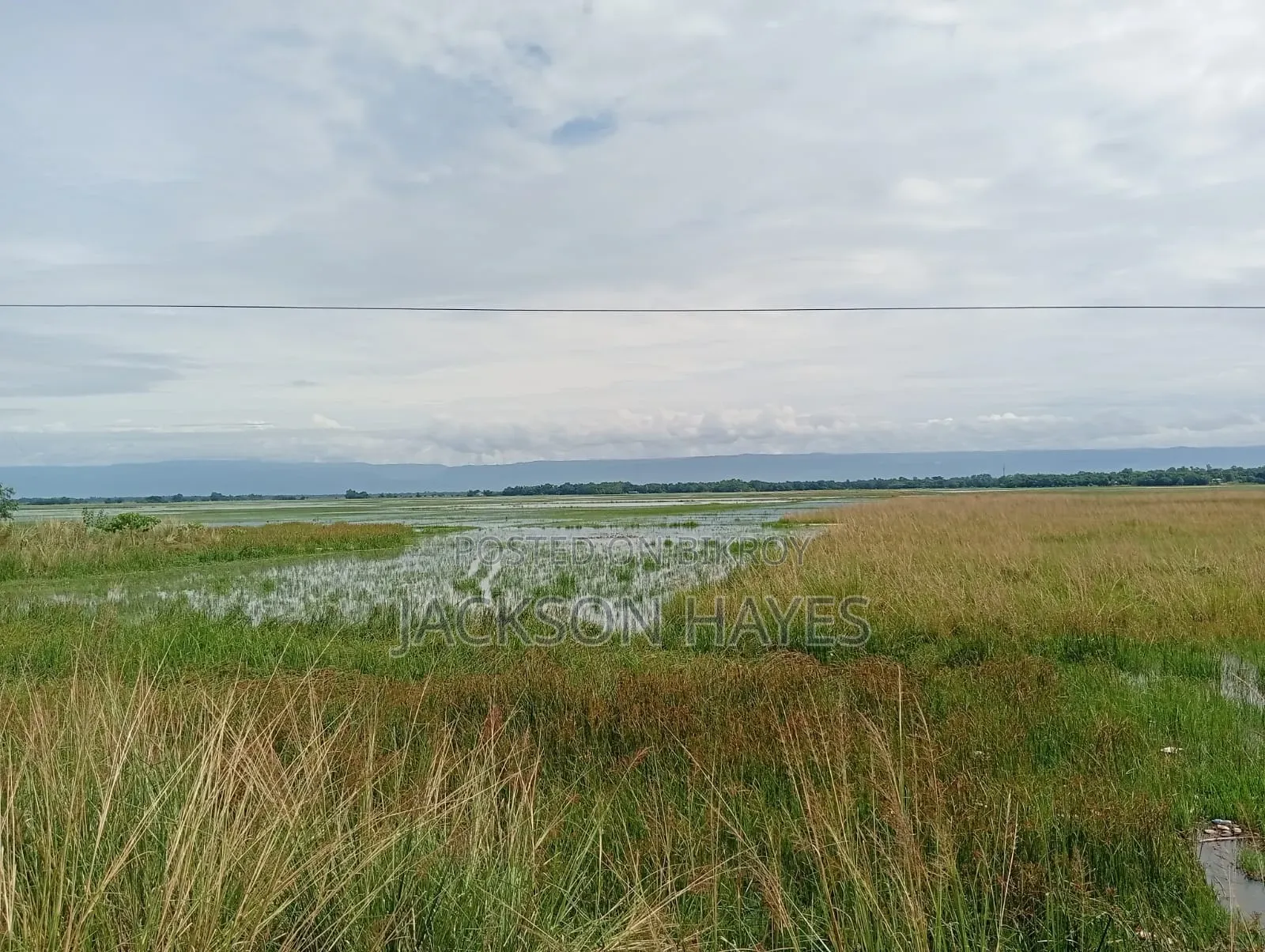 Plot suitable for establishing industry for sale.