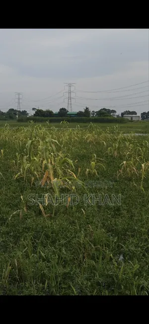 এই জমি টি বিক্রি করা হবে