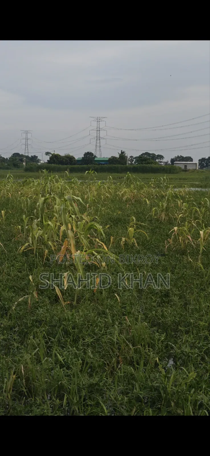 এই জমি টি বিক্রি করা হবে