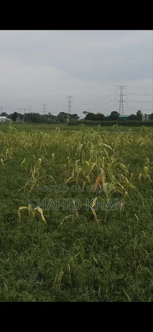 এই জমি টি বিক্রি করা হবে