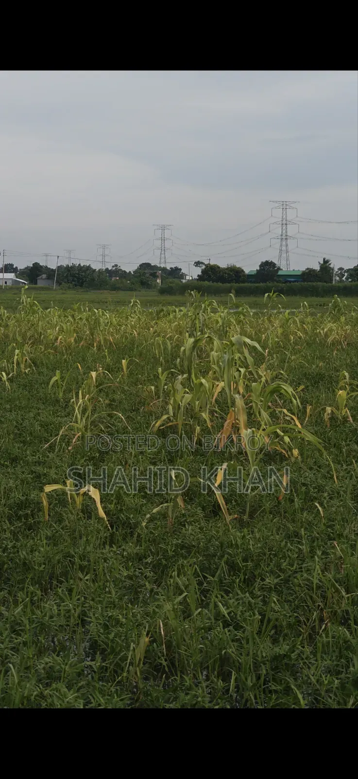 এই জমি টি বিক্রি করা হবে
