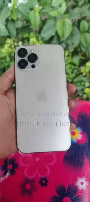 New Apple iPhone 12 Pro Max 256 GB