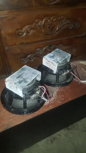 Best Speaker