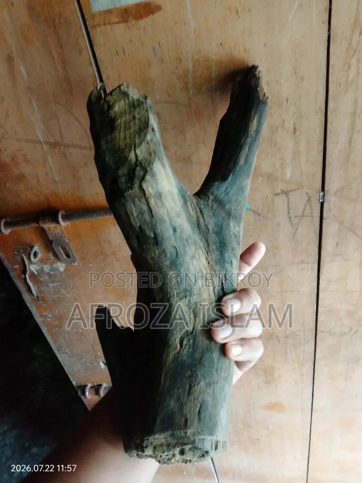 ড্রিফট উড (বগ উড)