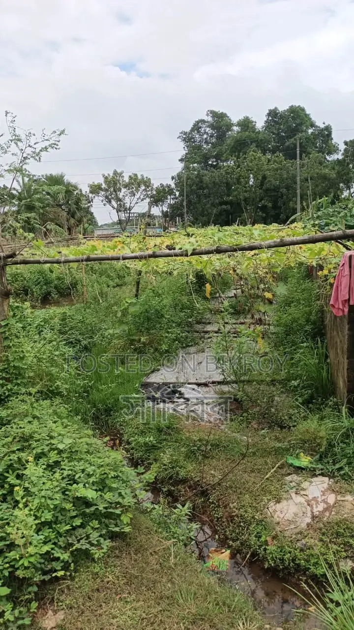 সাভার দোহরা ইস্টার্ন হাউজিং এ ৫ কাঠার একটি প্লট হবে। ইস্টার্ন হাউজিং