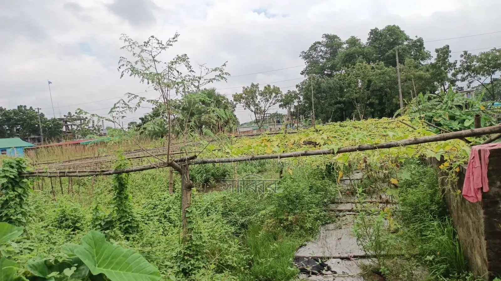 সাভার দোহরা ইস্টার্ন হাউজিং এ ৫ কাঠার একটি প্লট হবে। ইস্টার্ন হাউজিং