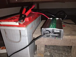 12volt Battery Charger and IPS