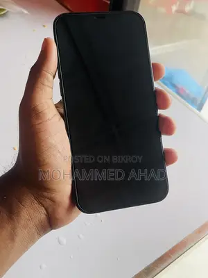 অ্যাপল আইফোন ১২ প্রো ম্যাক্স ১২৮ জিবি