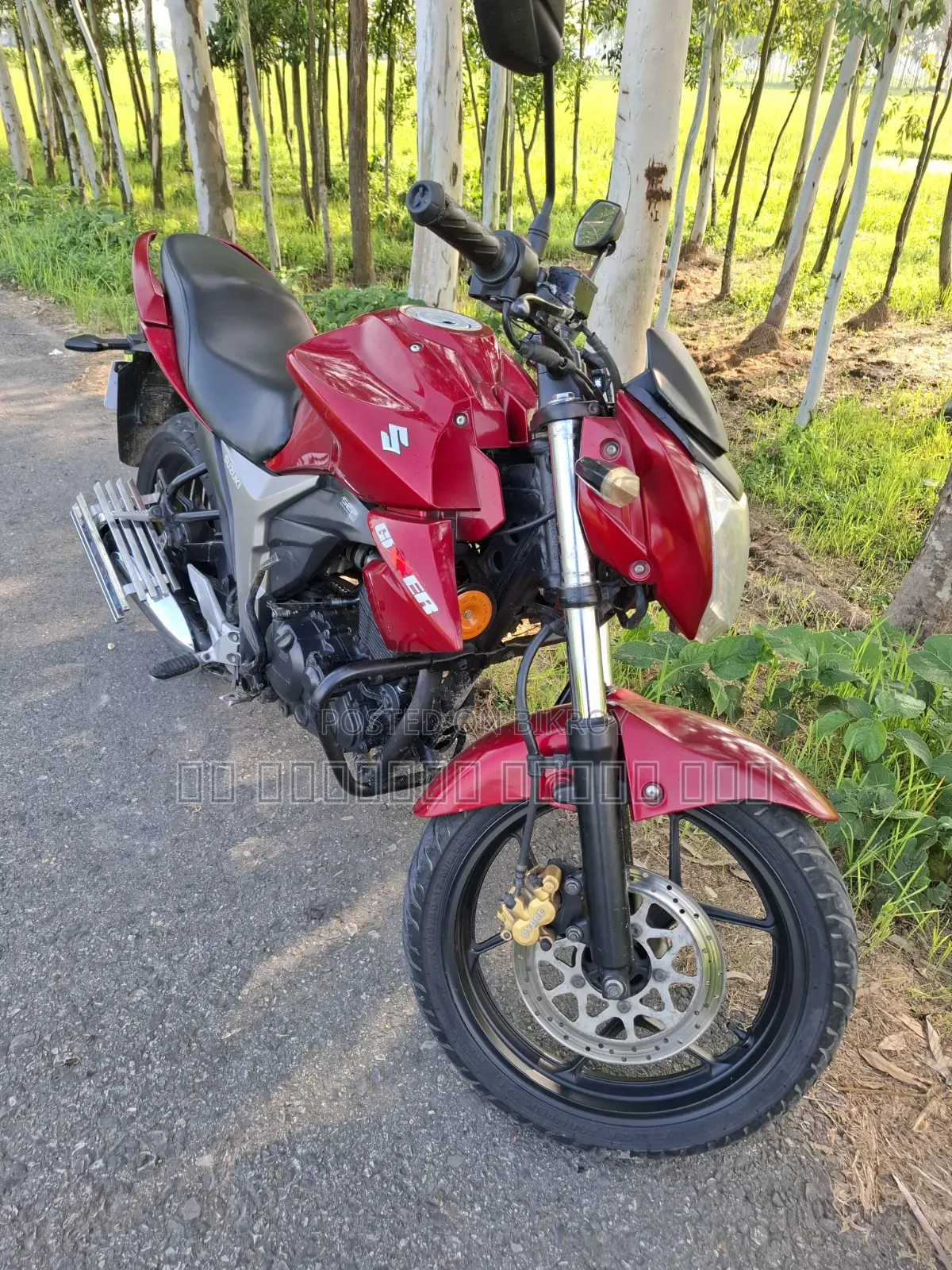 Suzuki Gixxer Monotone 2016 Red