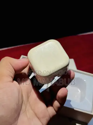 ১৩ প্রো ম্যাক্স অ্যাডাপ্টার এবং ক্যাবল