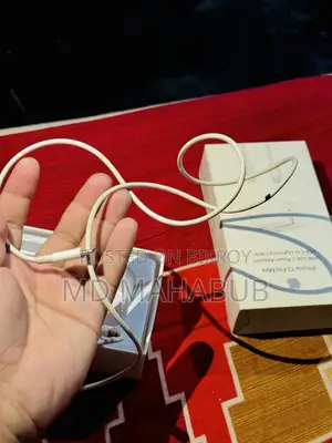 ১৩ প্রো ম্যাক্স অ্যাডাপ্টার এবং ক্যাবল
