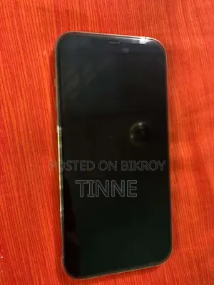 অ্যাপল আইফোন ১২ প্রো ম্যাক্স ২৫৬ জিবি গোল্ড
