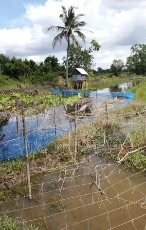 Land for sale at low price