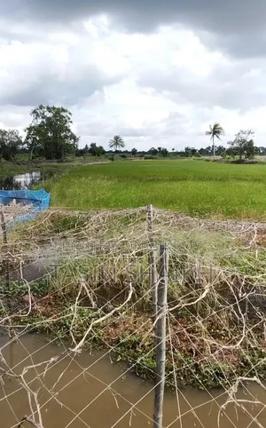 Land for sale at low price
