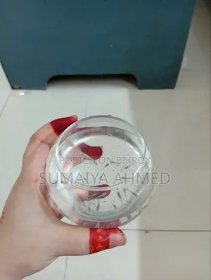 Fish Aquarium