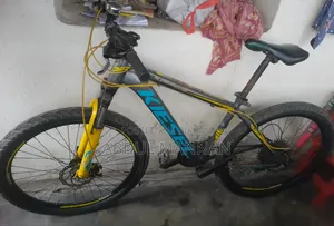 Kiesel Bicycle