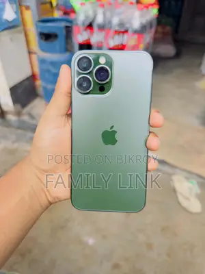 Apple iPhone 13 Pro Max 512 GB Green