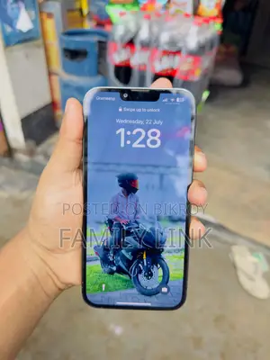 Apple iPhone 13 Pro Max 512 GB Green