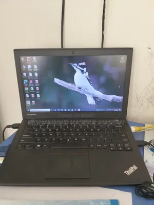 Laptop Lenovo ThinkPad X250 8GB Intel Core I5 SSD 256GB