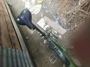 মেরিন গোল্ড ওয়ান হানডেট