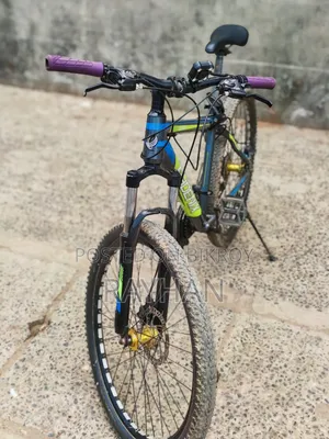 Phoenix Kubo Mountain Bike