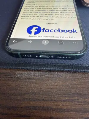 অ্যাপল আইফোন ১৩ ১২৮ জিবি গ্রিন