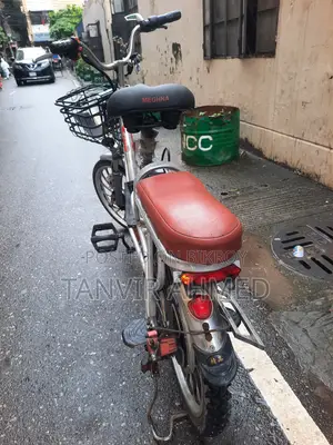 Alloy Body Electric Cycle 20" Size