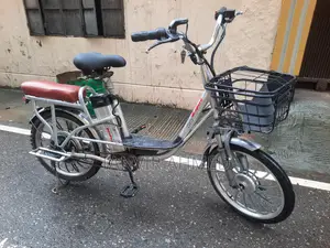 Alloy Body Electric Cycle 20" Size