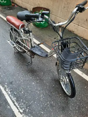 Alloy Body Electric Cycle 20" Size