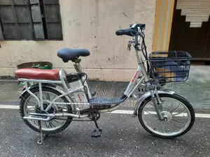 Alloy Body Electric Cycle 20" Size