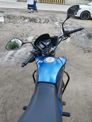 নতুন হিরো প্যাশন প্রো ২০২৫ নীল