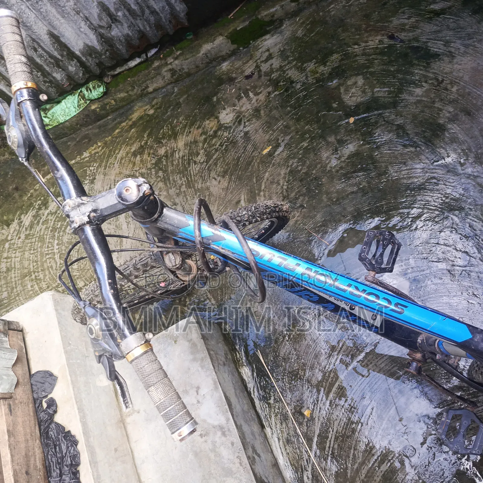 Will sell bicycle
