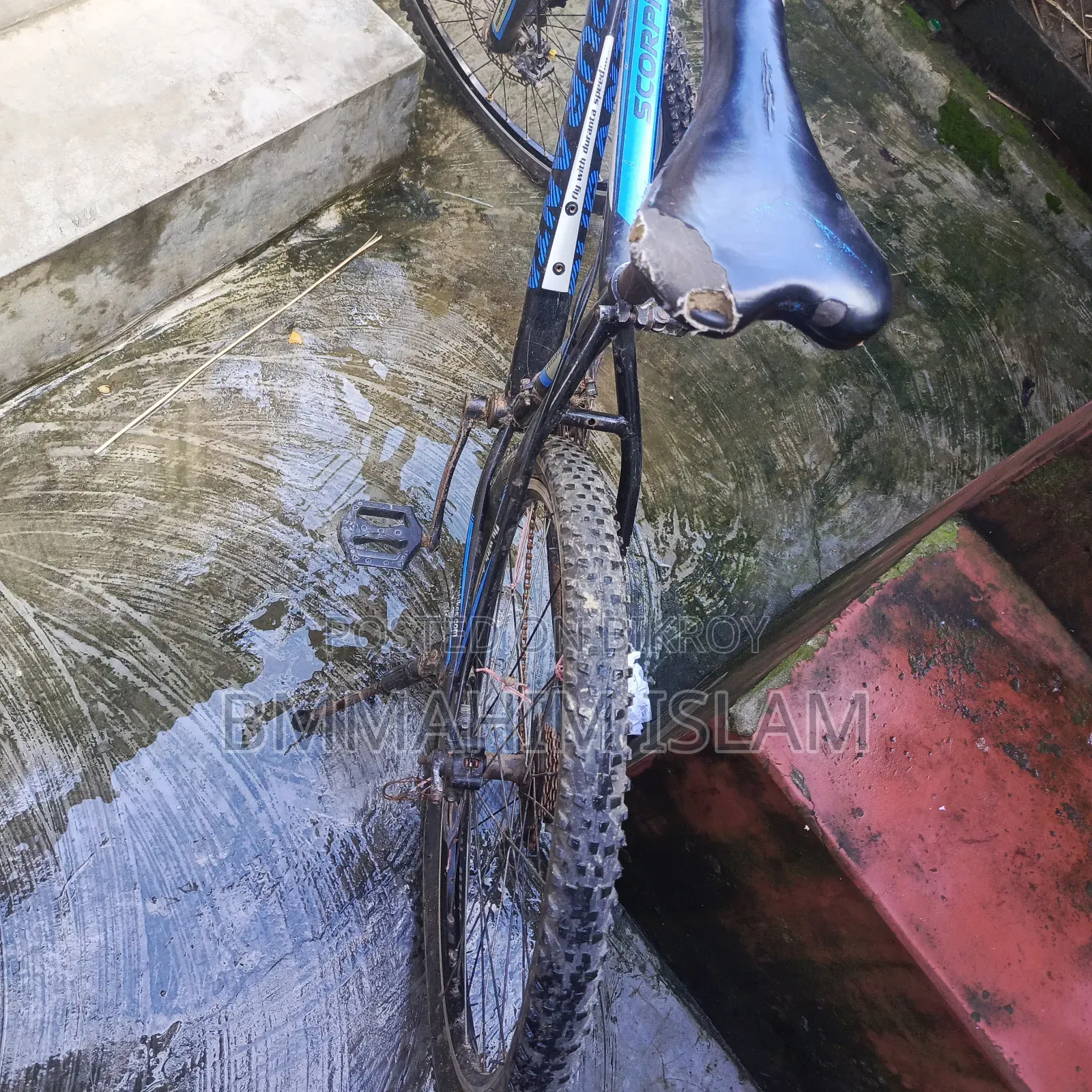 Will sell bicycle