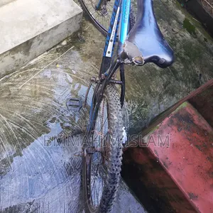 Will sell bicycle