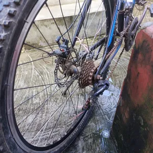 Will sell bicycle