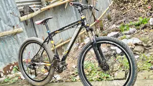 Brand New Bicycle 2 tires