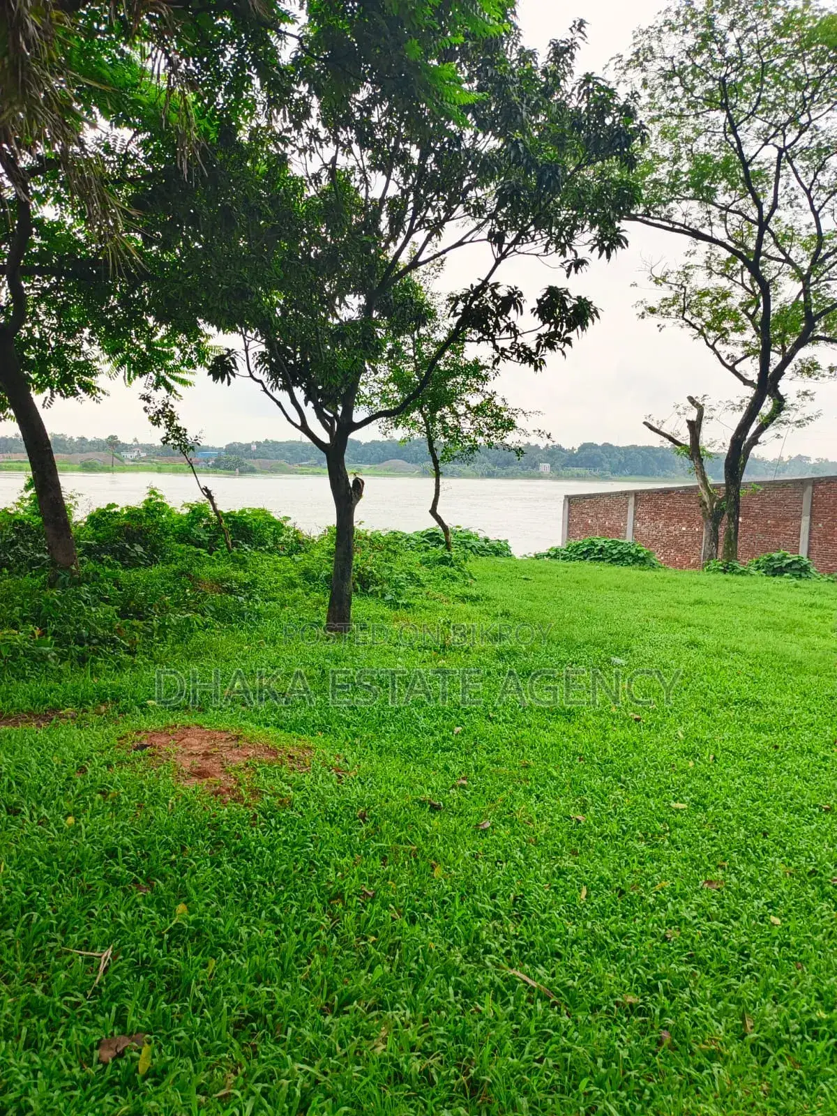 Sale of 75 Katha of Land in Front of River and 30 Road